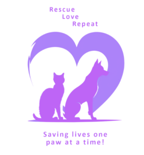 LoveTAPP